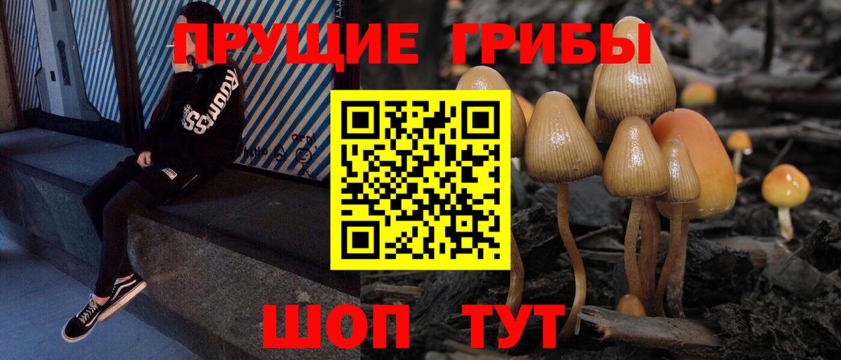 Псилоцибиновые грибы мухоморы  Галлюциногенные грибы MAGIC MUSHROOMS  Псков  Вход с VPN 